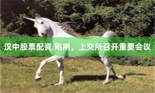 汉中股票配资 刚刚，上交所召开重要会议