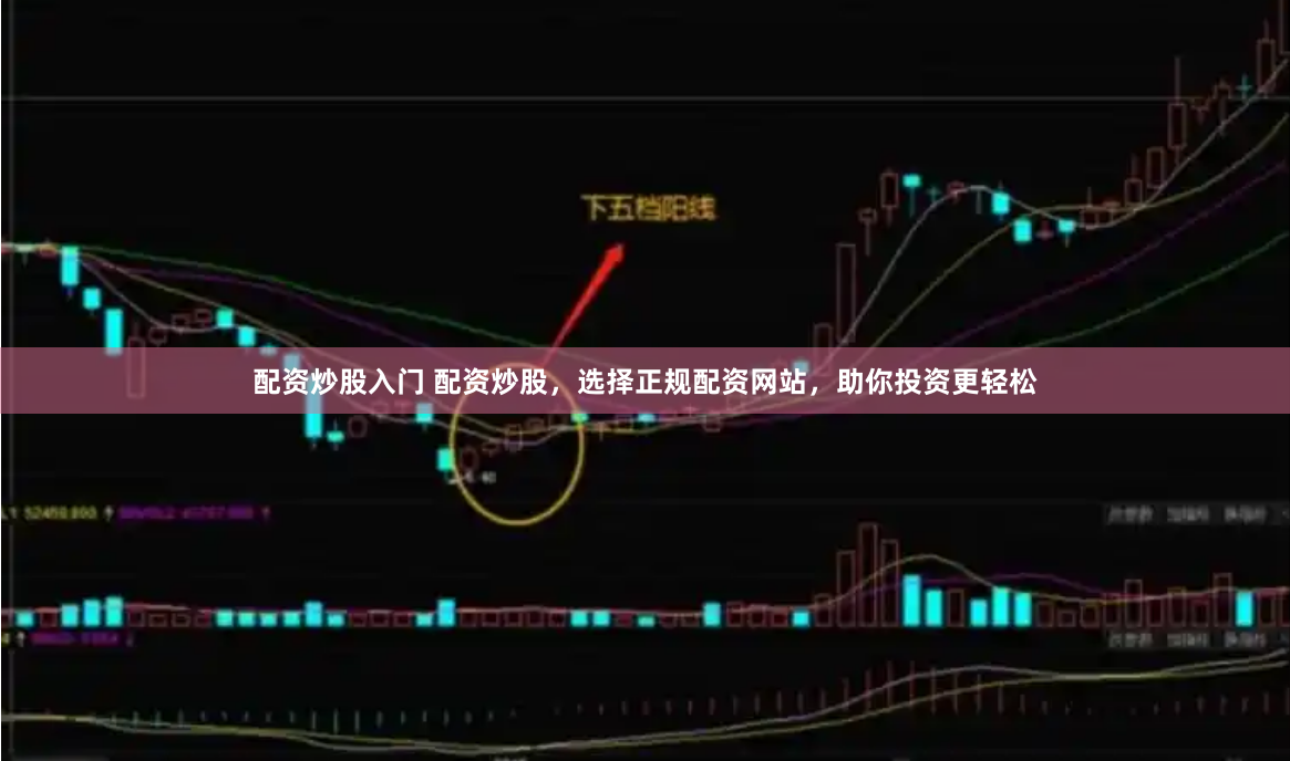 配资炒股入门 配资炒股，选择正规配资网站，助你投资更轻松