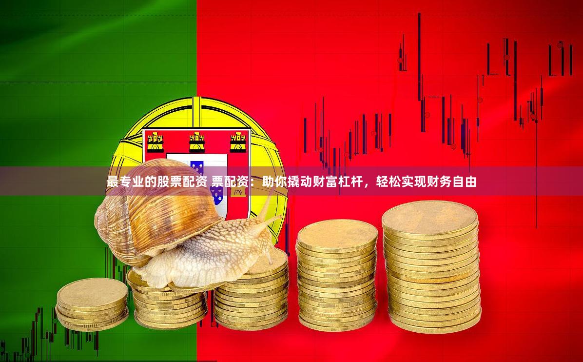 最专业的股票配资 票配资：助你撬动财富杠杆，轻松实现财务自由